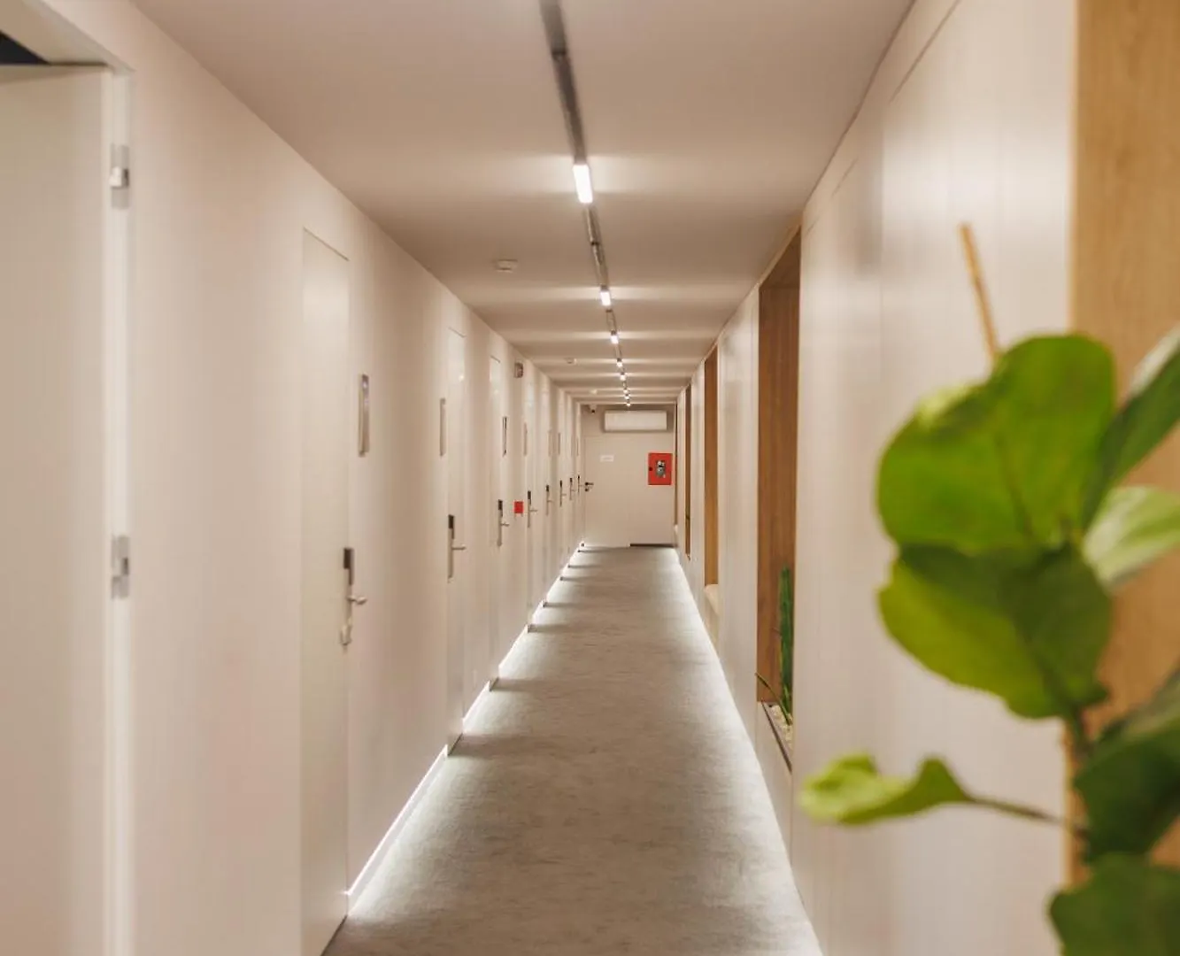 Moonlight Apartments تيرانا